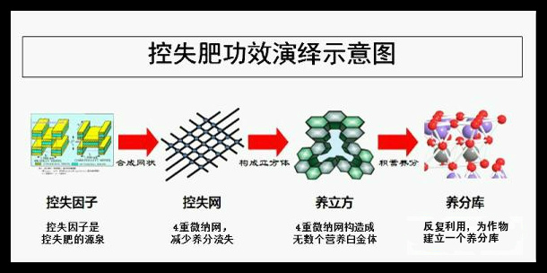 紅四方控失復合肥