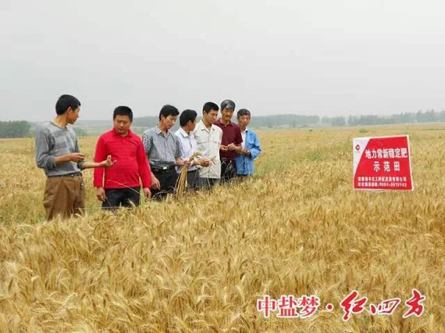 紅四方穩定肥料，為農民增收，讓經銷商獲利
