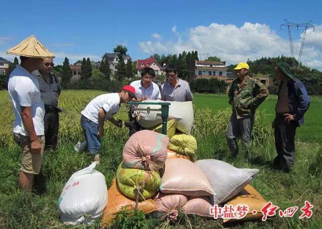 紅四方穩定肥料，為農民增收，讓經銷商獲利
