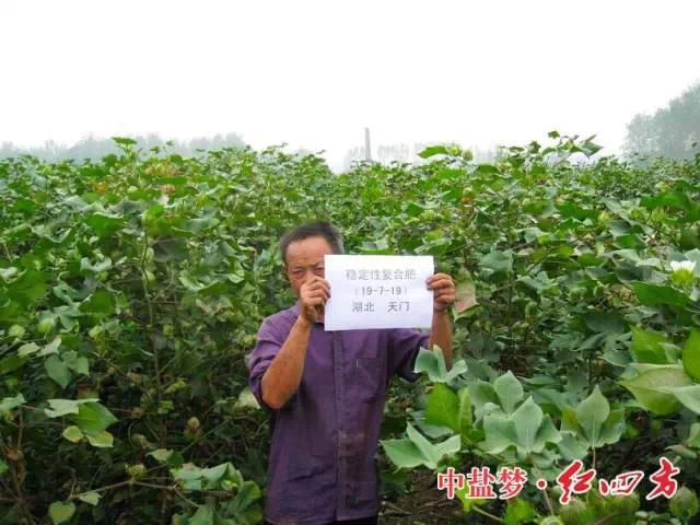 紅四方穩定肥料，為農民增收，讓經銷商獲利