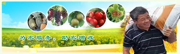 紅四方農(nóng)資人的辛苦！！