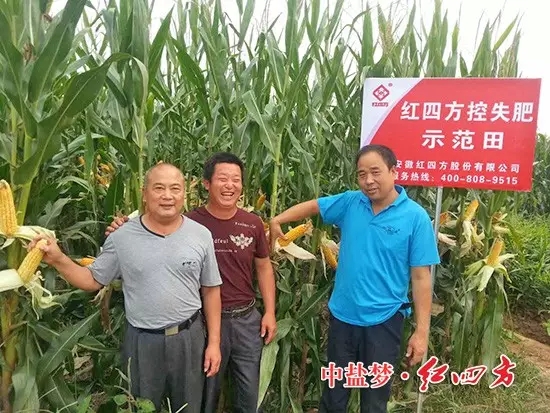 在山東青州的田間，客戶看見(jiàn)施用紅四方40%(28-6-6)添加腐植酸控失肥的玉米株高、葉色濃郁、不禿尖，網(wǎng)點(diǎn)商大贊效果出乎意料！