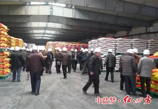 ▲兩旁排列整齊的、品種齊全的復(fù)合肥產(chǎn)品，上前看個仔細(xì)！