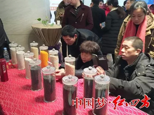 經銷商拍攝各種復合肥產品實物圖
