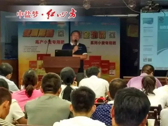 我將在茶區(qū)和果區(qū)大力推廣紅四方肥料，我要在名山做大做強(qiáng)紅四方。