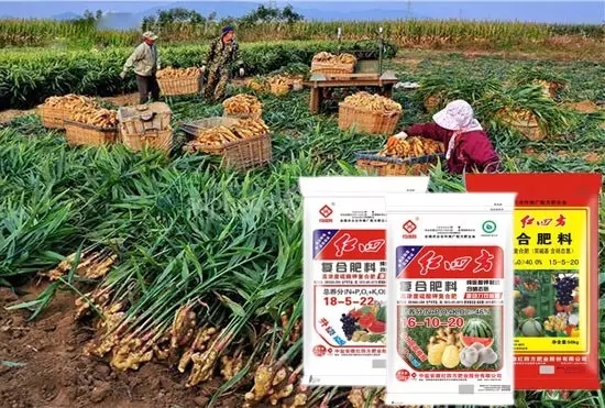 推薦配方：硫酸鉀45%（18-5-22）、46%（16-10-20）、40%（15-5-20）