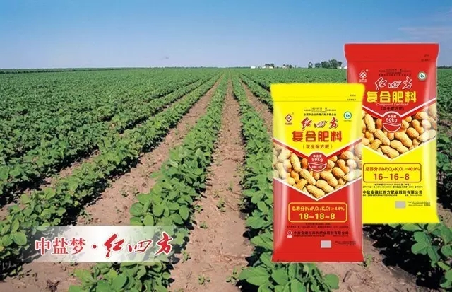 紅四方花生專用肥的高氮配方 紅四方花生專用肥的高氮配方