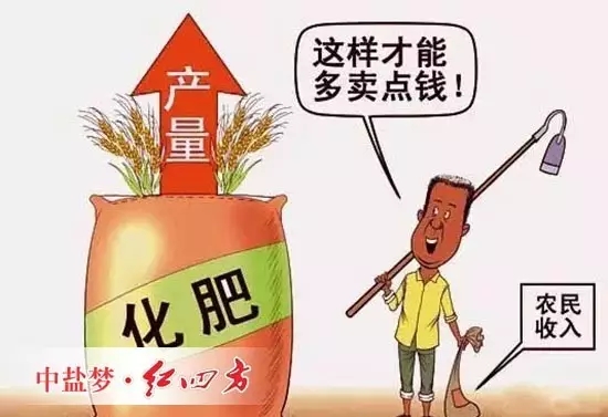 在生態(tài)環(huán)境受到高度關(guān)注的今天，國(guó)家對(duì)于食品安全、土壤環(huán)境、國(guó)民健康等問(wèn)題日益關(guān)注，我國(guó)糧食生產(chǎn)逐漸由追求產(chǎn)量逐步向追求質(zhì)量和安全的方向靠攏，中微量元素肥料的重要性日益凸顯。