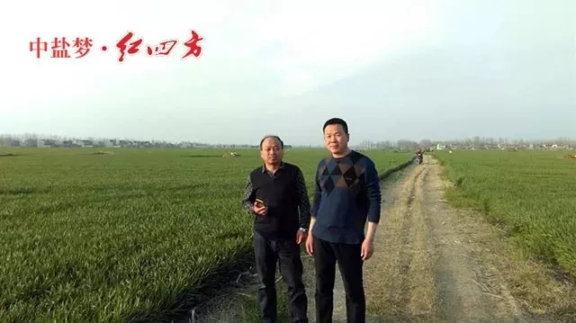 作為農(nóng)資經(jīng)銷商，如果產(chǎn)品不穩(wěn)定，是賣不動的，就算賣出去，萬一出問題，心理上也過意不去，干我們這行大多是老實巴交的農(nóng)民，本來就不容易。