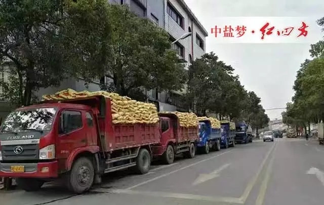 在受糧價(jià)下跌、渠道下沉、化肥零增長、化肥優(yōu)惠政策取消等因素影響，農(nóng)資行業(yè)的競爭日趨激烈狀況下，中鹽紅四方復(fù)合肥銷售如何勢如破竹，獨(dú)領(lǐng)行業(yè)風(fēng)騷？不忘初心，方得始終